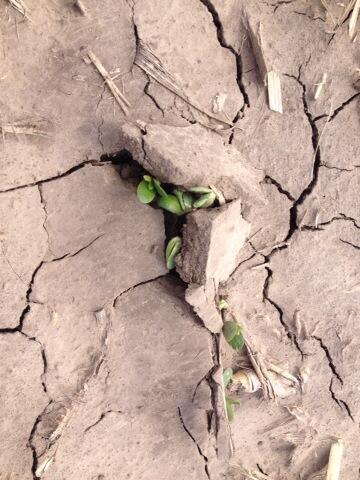 kkaslon's tweet photo. Now that's teamwork! AG2431's! http://t.co/Ki4PCZ4O4q