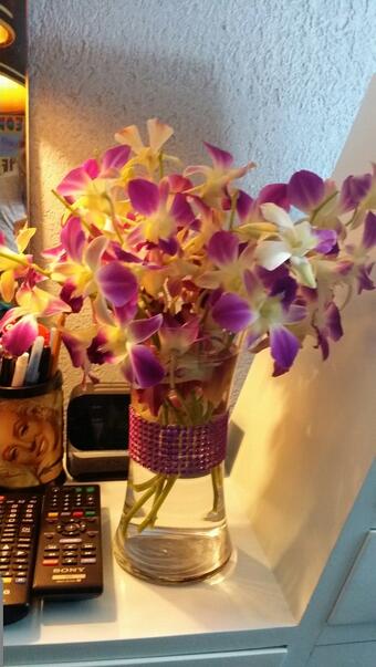I cut them and now all the buds have bloomed! @tikitimboohh they've been alive in that vase for about