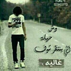 abcaln tweet picture