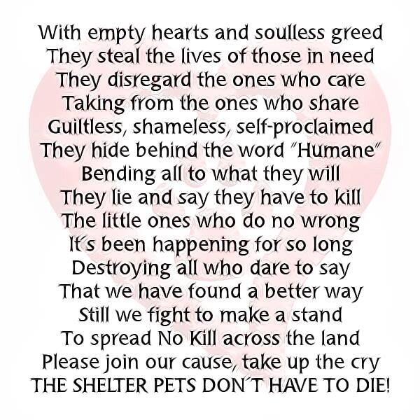 thewindofmind's tweet photo. "@ngremmy: They are soulless! #nokillnation #cats #dogs #change http://t.co/18RzmyaCsu"