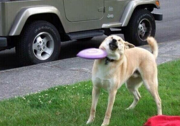 SpeakComedy's tweet photo. Exams are gonna hit me like http://t.co/Z1A7SplYX2