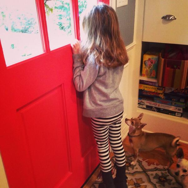My lil gal likes to tell me what the neighbors are doing...Saturday morning at my house...#dogphotobomb