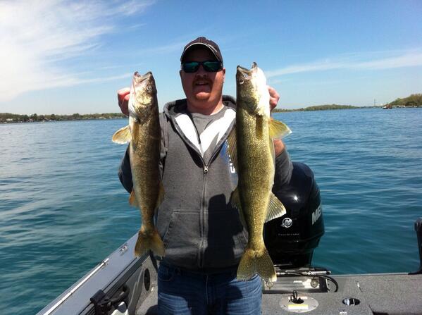 BobDigi33's tweet photo. Got a couple nice walleye on the St. Clair river this morning!! http://t.co/u0BAievLl0