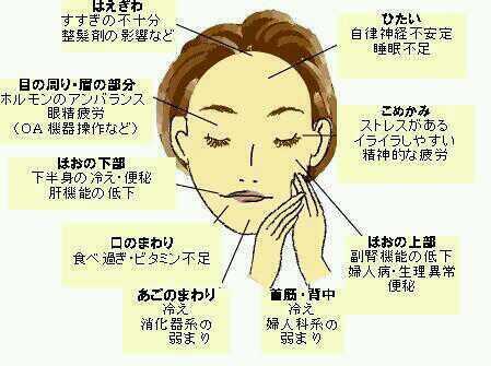 男子禁制 女友達作りbot Dansi Kinsei Twitter