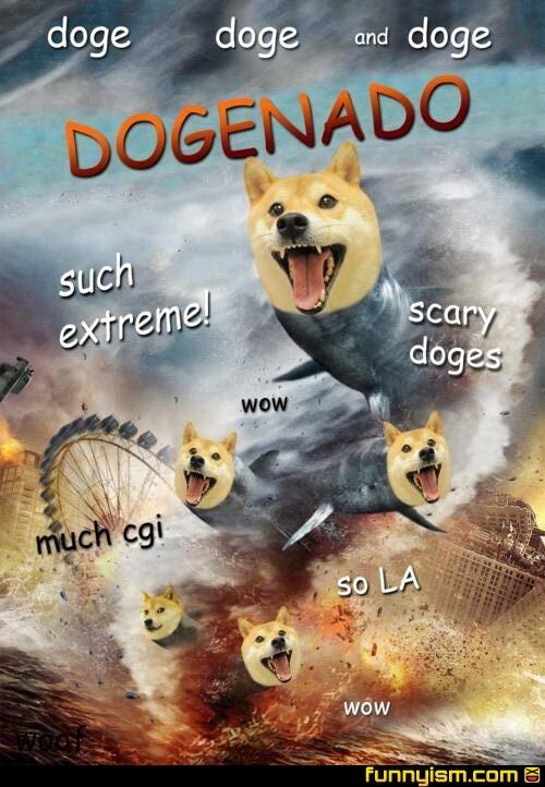 DogeTheDog's tweet image. Wow
      Such scary
         Much cgi
            So L.A.
