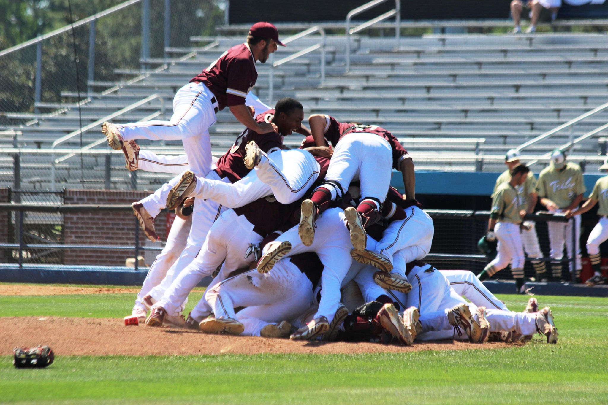 CofC Baseball on Twitter: "This is how a championship team celebrates! Cougars are dancing! #