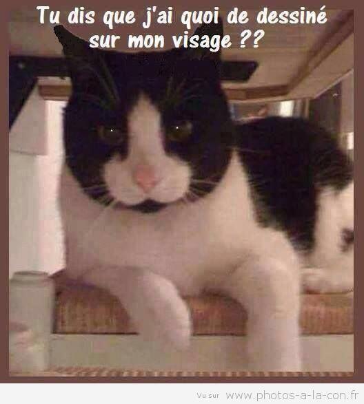 JuniorTVine's tweet photo. Tu dis que j'ai quoi de dessiné sur mon visage ? http://t.co/vPGjXKaHUP