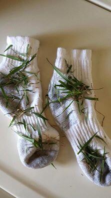 lxurenjxde_'s tweet image. new huf socks