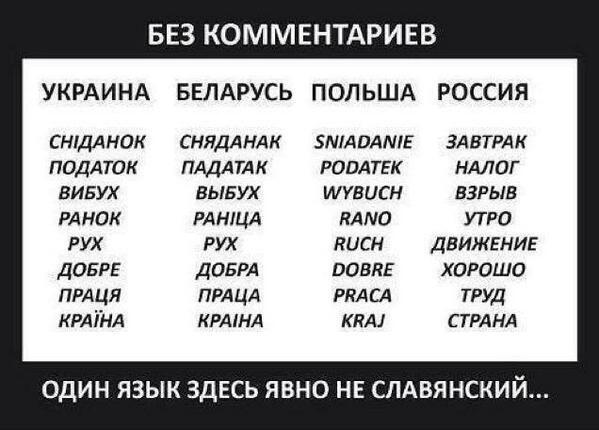 Медведев вояжирует по оккупированному Крыму, планирует посетить "Артек" - Цензор.НЕТ 4516