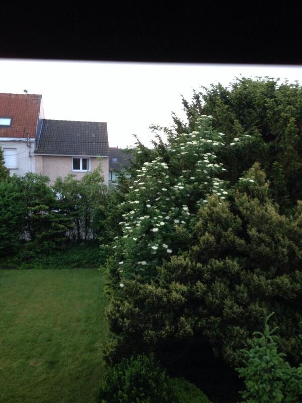 tomvdkendelaere's tweet image. Zonsopgang in #Roeselare. This must be election day! #stemjong #stemcdenv #RSLkiest