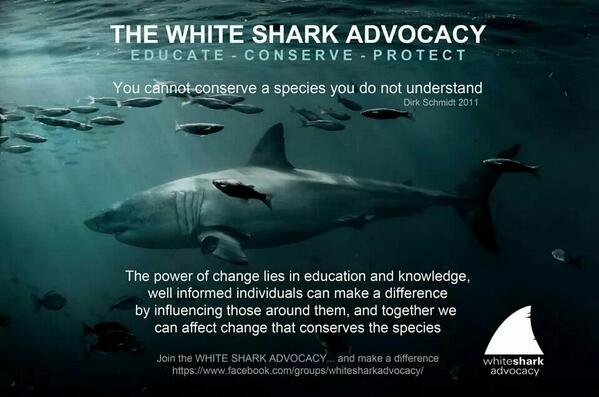 Shark_Toothday's tweet photo. You cannot conserve a species you do not understand~Dr Dirk Schmidt @WhiteSharkAdv http://t.co/sVEjEs0hZP