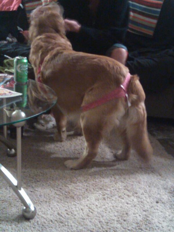 Ryan Emken (bigz084) Twitter