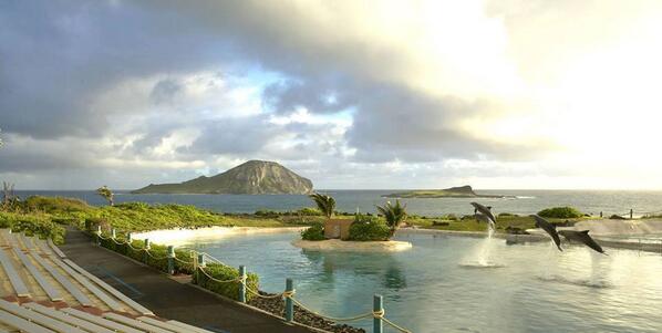 CUMALi_YILDIZ's tweet photo. If you think that a pool this size is good enough for a dolphin to spend his entire life then Im sorry to tell you http://t.co/tke7gZptwk