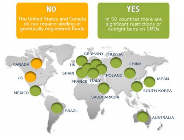 JeanetteJenkins's tweet photo. Wake up America! Our food is banned in over 50 countries! It's time to say NO to GMO's! #NoGMO #MarchAgainstMonsanto http://t.co/YAjbwVy7zQ