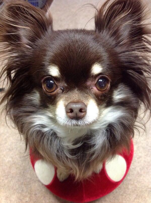 mikodai's tweet photo. @mcpxpc おっけ。まってるわ(^^) http://t.co/fuVdEPkcqp