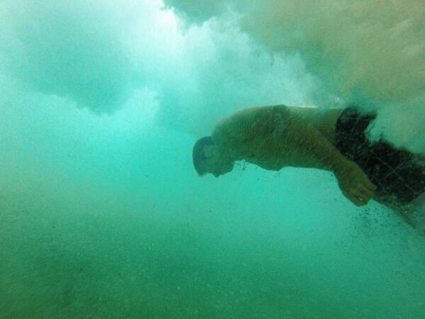 ryan_reedy's tweet photo. @kentttouchthis 🐬 http://t.co/tOLgYifBhz