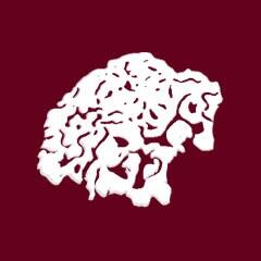 Uber_Vortex's tweet image. My Fungus, called Uber, just got eradicated in 921 days! (Plague Inc.) s.ndemiccreations.com/plague/i/b6583…