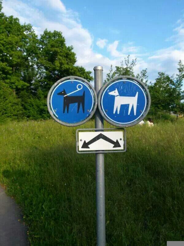 okezie_moses's tweet image. Sign in a Swiss Park - parable of our times? Chain blacks but leave whites unleashed? #SubtleRacism? #Insensitivity?