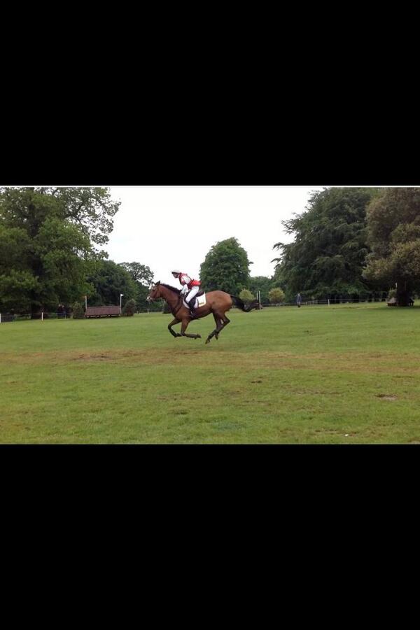Chloe_Newt's tweet photo. Good Luck @willanewton "seal the f**king deal" wish I was there xxx🐎🍀 http://t.co/64nzl7kFLF