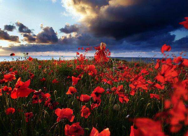 Gabriele_Corno tweet picture