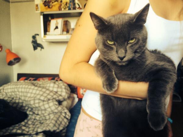 Valdiacho's tweet image. Ak, mana pievilcība..apnicis jau! Ko man darīt ar tām dūdiņām?