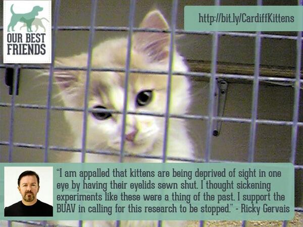 If you agree with @RickyGervais then please RT and sign the petition here: bit.ly/CardiffKittens
