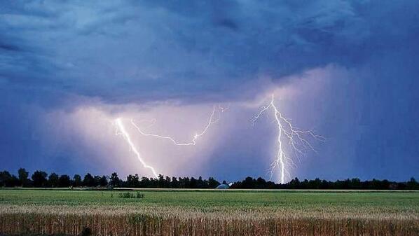 BILD's tweet photo. Von Sommerhitze bis Extrem-Unwetter! #WETTER-BINGO! Das bringt's uns nächste Woche http://t.co/7WEdTwTJdg http://t.co/45jorkT2Ak