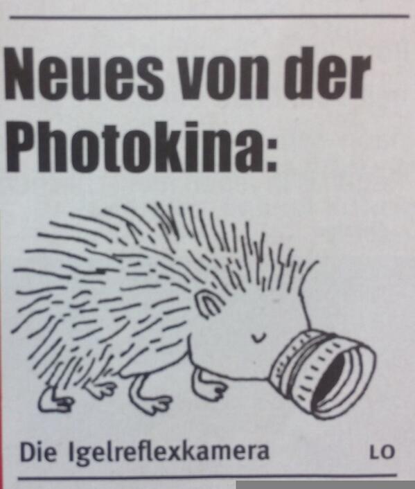 sofa_igel's tweet photo. Lolling out loud!
Quelle: EulenspIeGEL http://t.co/wuHkYPpcRD