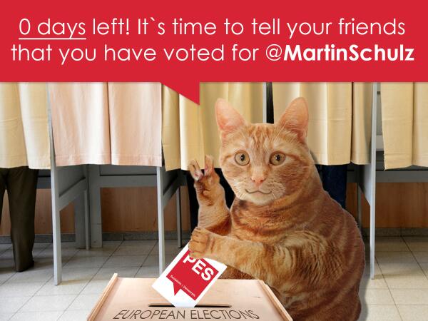 PES_PSE's tweet photo. Hey there! RT this furry voter to tell your friends you voted for @MartinSchulz in #EP2014 #knockthevote #NowSchulz http://t.co/utEA5DowDm