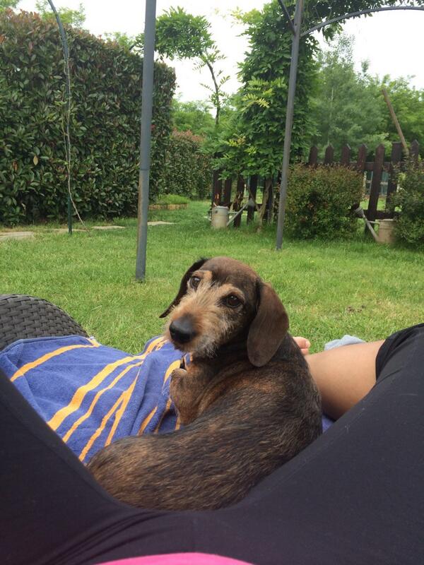 antoniapesce's tweet photo. Doppio relax http://t.co/kO6TSi1CyF