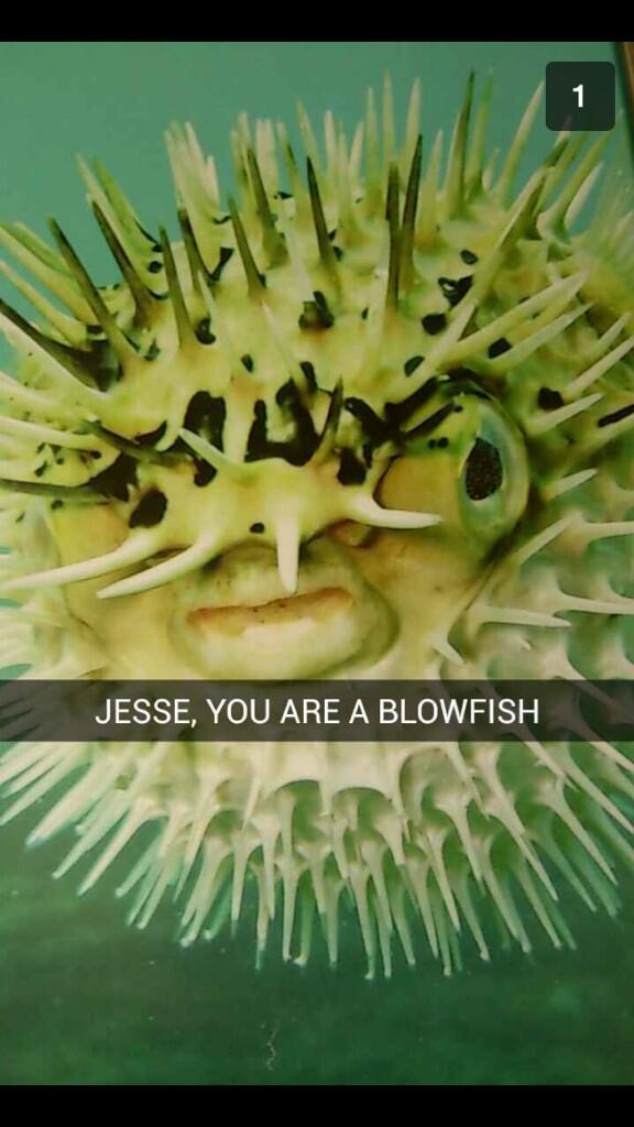 waIterhhwhite's tweet photo. I be snapchatting like http://t.co/N3lppO18FU