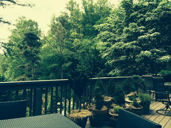 Ashley_Infers's tweet photo. @djRestaurateur I'm on a porch in Asheville: reminds me of your place!  They've paid less attn to weed removal, tho http://t.co/pcKmdEmqyT