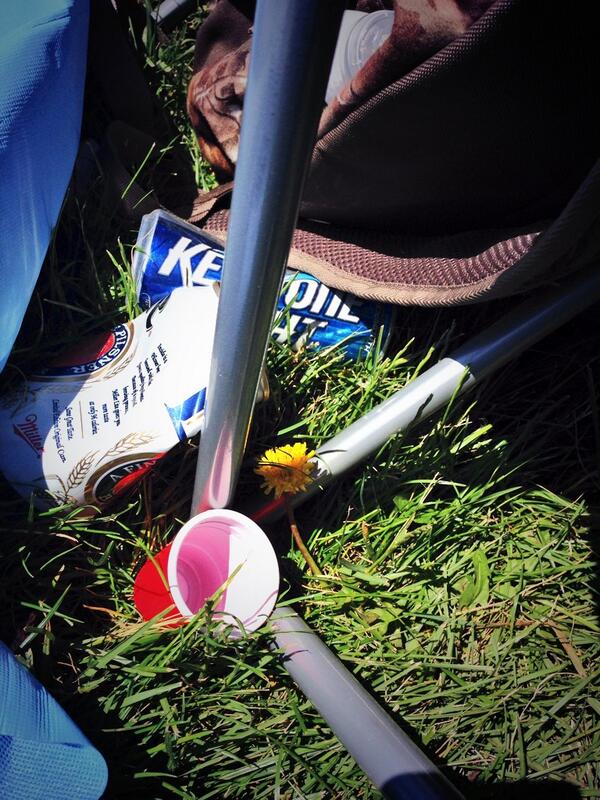 hunkywoehler's tweet image. So far the only yellow at the #Indy500 is this dandelion!! Go @scottdixon9   

#GoScottGo