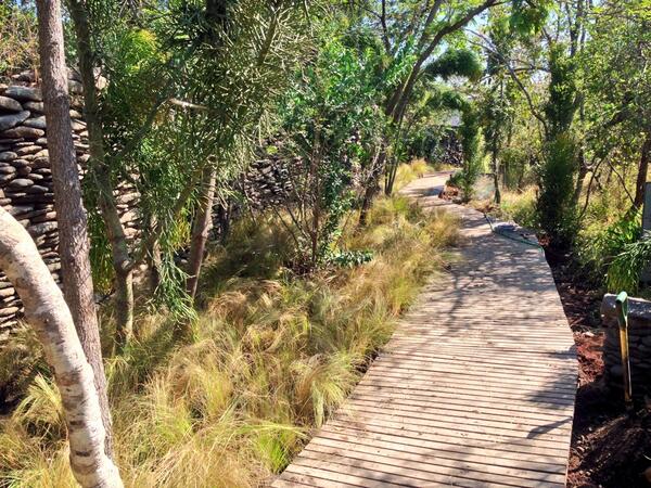 My bushveld garden that we are busy with @ Singita Safari Lodge in Sabi Sands, stunning location