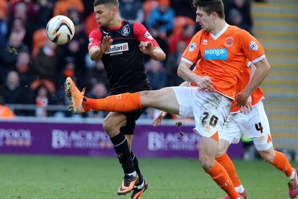 ExaminerLive tweet media