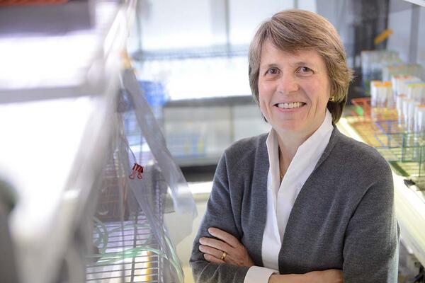 MIT News tweet media