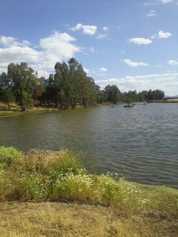 Virginia092's tweet photo. Domingueo berlangueño :) http://t.co/yc6ZFWOM1w