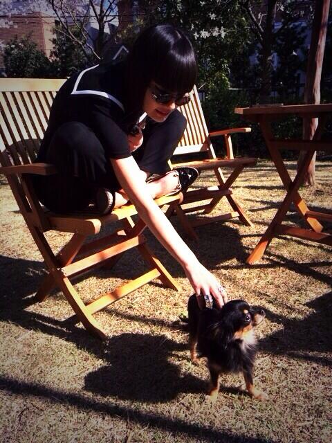 jgyhjkkkkkddhgy's tweet photo. わんこほちいな http://t.co/kHkGlfW3ga