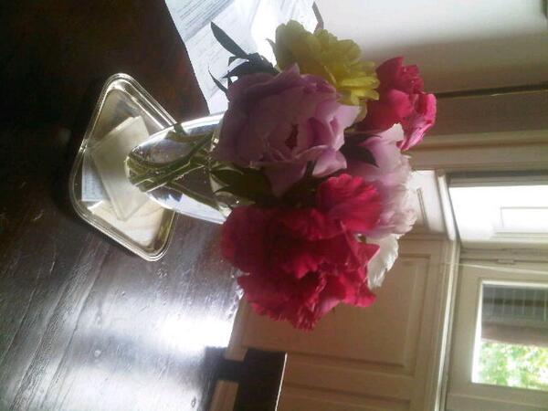 Marco Meneguzzo (@marcomeneguzzo) on Twitter photo 