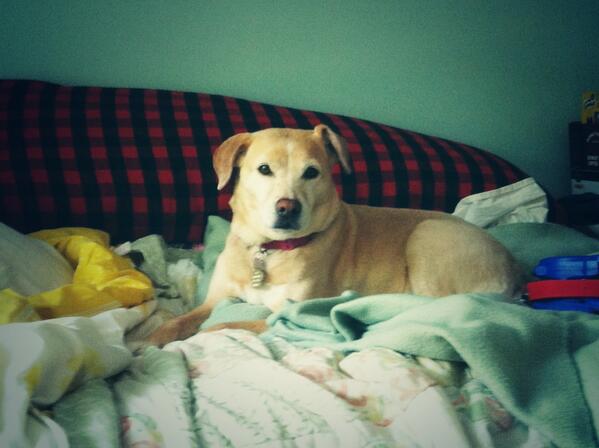 Yarnies's tweet image. #whatapickle