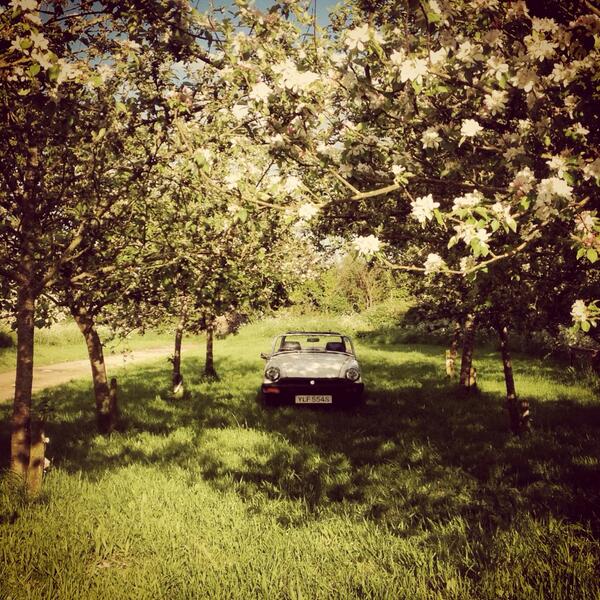 JaskowskiAuto's tweet image. Jaskowski Automotive MG Midget.