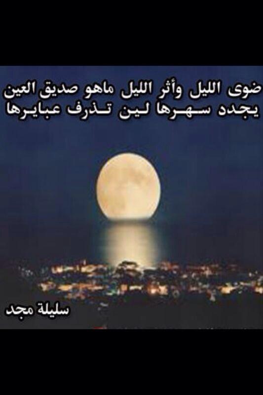 سلـيـلـة مـجـد tweet media
