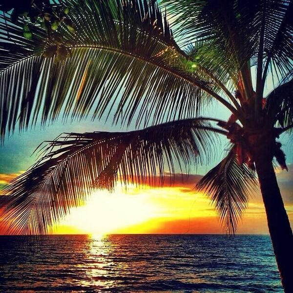 AnaRepett's tweet photo. Quiero irme a Australia. Ahora. Para siempre. http://t.co/UFIVYr1GsT