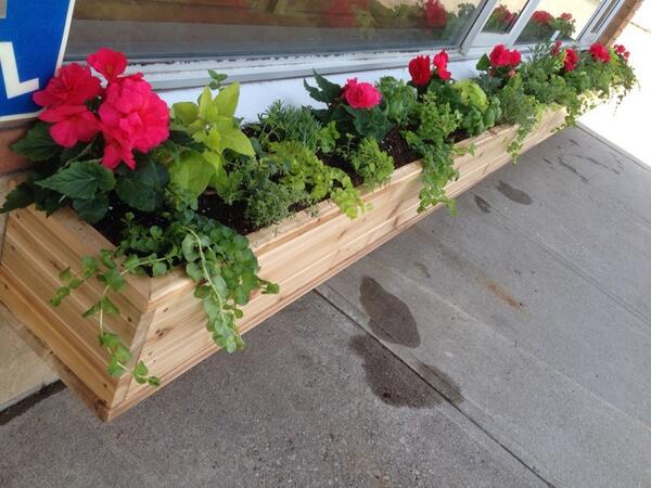 The #BistroOne #TBay #cleangreenbeautiful makeover... scented #herbs & blooms for shade. #tbayfoodies #restaurant