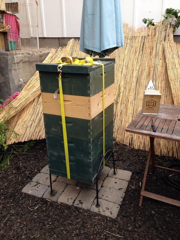 Successfully moved our beehive to its new home 30 miles away. Here it is ready to be moved: