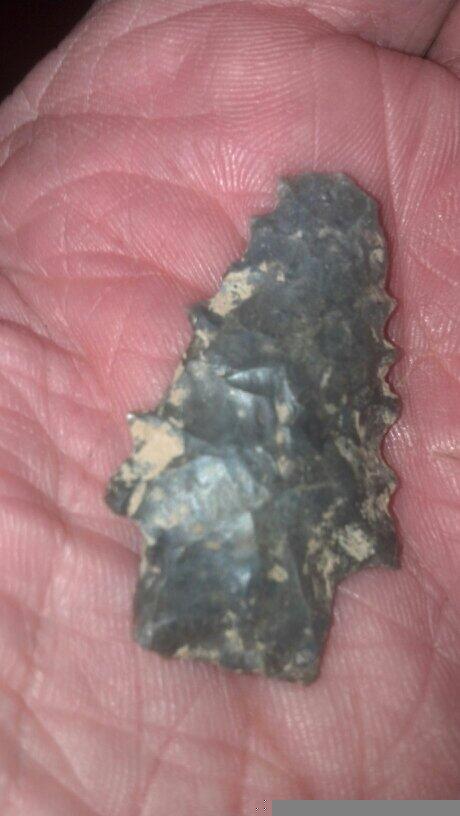 Found today by my son.