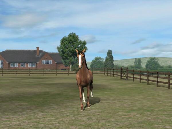 Check out my photo! Add me, AntsyIgloo546. #MyHorse mhfcjiffkhijflngmfddjchzimjhxidjxd nmgam.es/horse_twitter