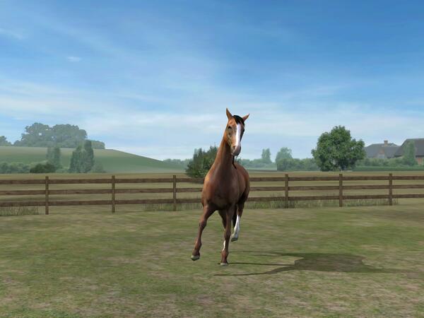 Check out my photo! Add me, AntsyIgloo546. #MyHorse nfddlklddn,lid nmgam.es/horse_twitter