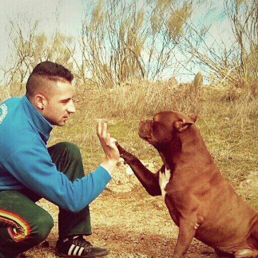 OrtirAlvaro's tweet photo. Mi mejor amigo sin duda alguna,hoy me despido de ti x ultima vez te coji en brazos asta siempre mi niño :'( http://t.co/BX1pKehki3