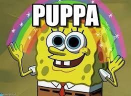 Chewbacca tweet media